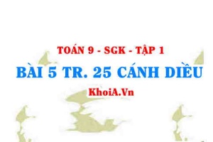 Bài 5 trang 25 Toán 9 Cánh diều Tập 1